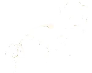 Page 852 of Prisoner no Ningyoutsukai - preview thumbnail