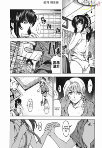 Page 95 of Maruimo!? [Genteiban] | 마루이모!? - preview thumbnail