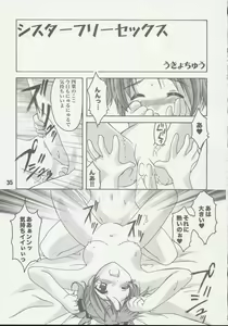 Page 34 of Sis-Con 2 - preview thumbnail