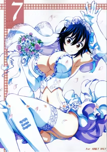 Nisenisekoi 7 — hentai manga cover on Fhentai