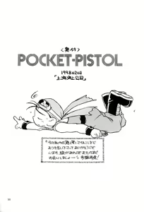 Page 29 of POCKET-PISTOL - preview thumbnail