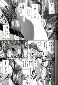Page 88 of Seikyouiku Teki Shidou - preview thumbnail