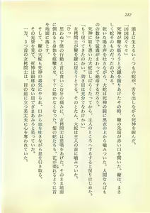 Page 211 of Hikari to Yami no Saga - Majou Densetsu - preview thumbnail