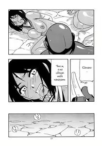 Page 13 of CELVARG2 - preview thumbnail