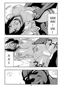 Page 26 of CELVARG2 - preview thumbnail
