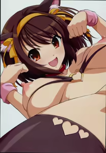 Page 20 of HARUCOS++ - preview thumbnail