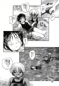 Page 43 of PetaFeti. 8 - preview thumbnail