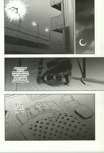 Page 5 of stray cat - preview thumbnail