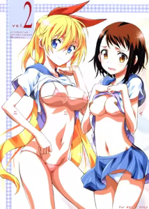 Nisenisekoi 2 - hentai manga cover image