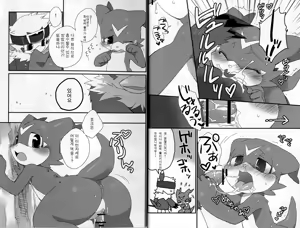 Page 11 of BUIBUI - preview thumbnail