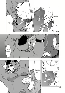 Page 14 of Shishi Shibori - preview thumbnail
