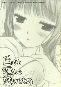 Page 2 of Shiro towa Nurete Sukeru Mono - preview thumbnail