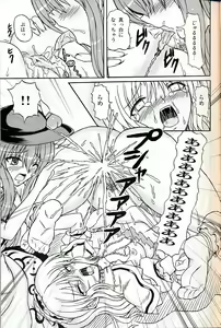 Page 14 of Touhou Youjo Ranbu 9 - preview thumbnail