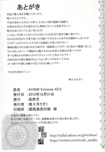 Page 21 of AYANE Extreme X2.5 - preview thumbnail