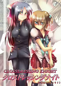 Crossdressing Knight — hentai manga cover on Fhentai