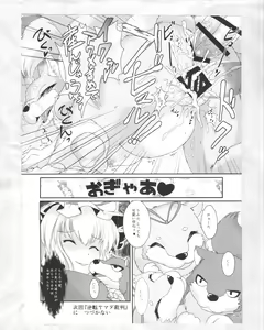 Page 31 of Touhou PLUMFUR 4 - preview thumbnail