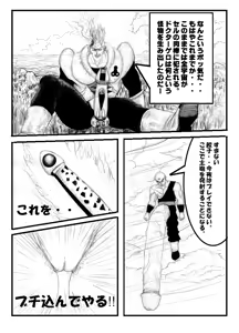 Page 6 of Pokochin Ball H 3: Cell vs C18 - preview thumbnail