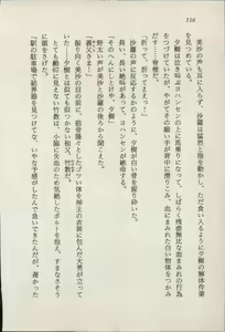 Page 117 of Treasure Hunter Sara - Kindan no Maingyoku - preview thumbnail
