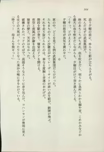 Page 165 of Treasure Hunter Sara - Kindan no Maingyoku - preview thumbnail
