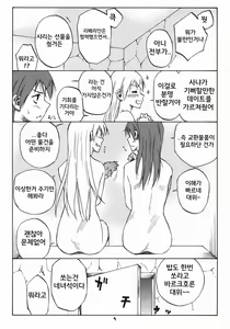 Page 4 of MAXIMUM - preview thumbnail