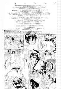 Page 3 of Nisenisekoi 6 - preview thumbnail