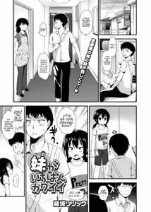 Imouto ga Ichiban Kawaii | Mi hermanita es la más linda — hentai manga cover on Fhentai