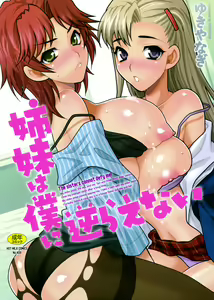 Shimai wa Boku ni Sakaraenai - The Sisters Cannot Defy Me — hentai manga cover on Fhentai
