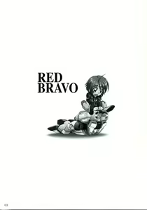 Page 2 of RED BRAVO - preview thumbnail