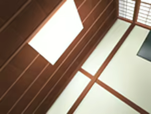 Page 367 of RibeBone - preview thumbnail