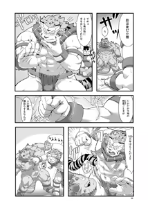 Page 40 of Reijuu Ishi Amber Cube - preview thumbnail