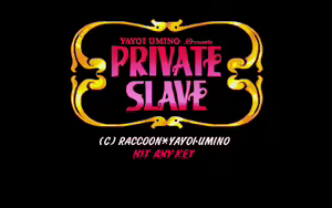 Private Slave - hentai manga cover image