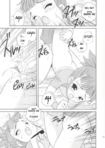 Page 15 of Digibon T - preview thumbnail