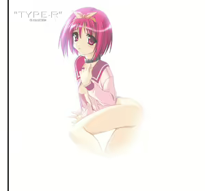 TYPE-R Vol.02 - hentai manga cover image