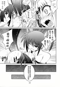 Page 20 of NF-04 - preview thumbnail