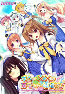Boku no xx wa Ryousei-tachi no Tokken desu! - hentai manga cover image
