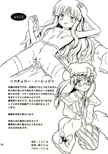 Page 49 of Touhou Youjo Ranbu 2 - preview thumbnail