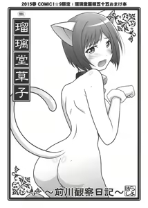 Page 35 of Ruridou Gahou CODE:55 + Kaijou Genteibon - preview thumbnail