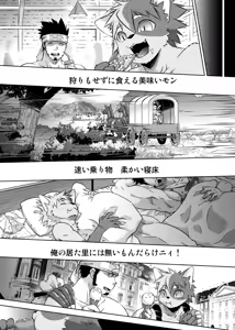 Page 4 of C-overDX 3 - preview thumbnail