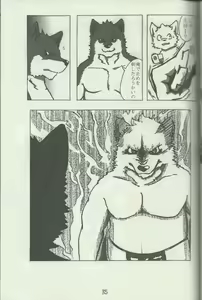 Page 35 of DSKY Go - preview thumbnail