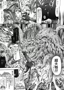 Page 251 of COMIC Unreal 2009-02 Vol. 17 - preview thumbnail