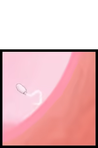 Page 135 of Tokushi no Shimei - preview thumbnail