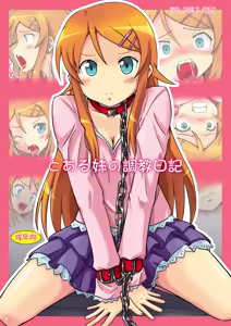 Toaru Imouto no Choukyou Nikki — hentai manga cover on Fhentai