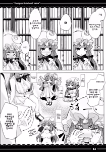 Page 5 of Punipuni Patchouli-sama | 말랑말랑 파츄리님 - preview thumbnail