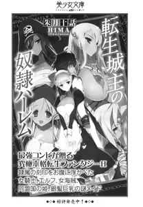 Page 332 of Isekai Majutsushi no Harem Musou - preview thumbnail
