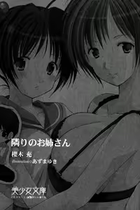 Page 3 of Tonari no Onee-san - preview thumbnail