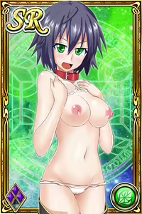 Page 1180 of Innyuu Shoukan Pururun Fairies (cards) Part1/7 - preview thumbnail