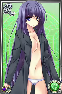 Page 355 of Innyuu Shoukan Pururun Fairies (cards) Part1/7 - preview thumbnail