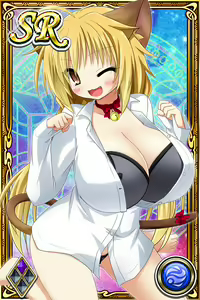 Page 216 of Innyuu Shoukan Pururun Fairies (cards) Part5/7 - preview thumbnail
