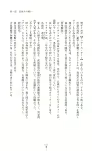 Page 19 of Twin Arstella Choukyou sennou de akuochi suru seigi no heroine - preview thumbnail