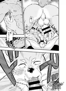 Page 32 of Ookami-kun no Yasei no Jijou | 狼人君野性的缘故 - preview thumbnail